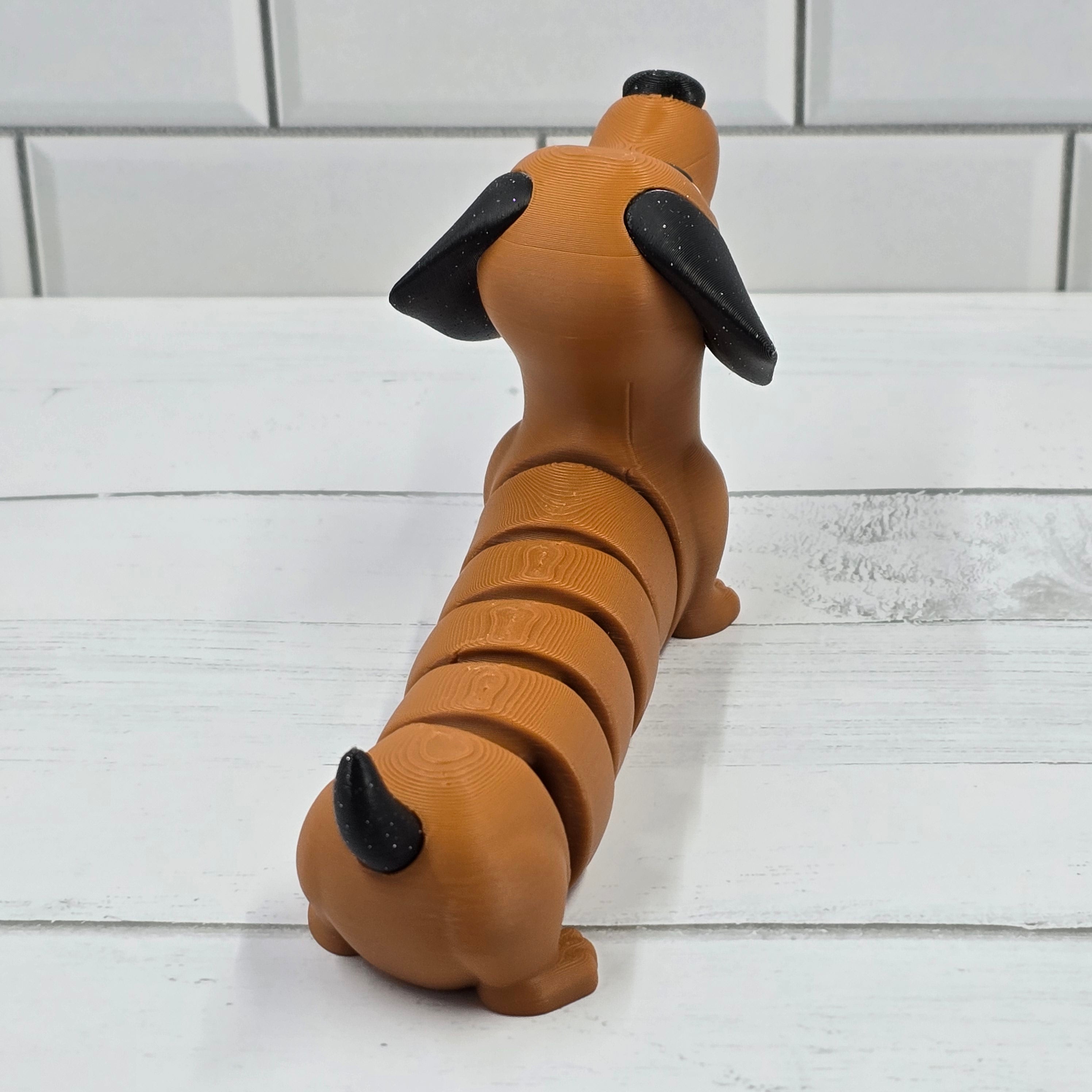 Dachshund