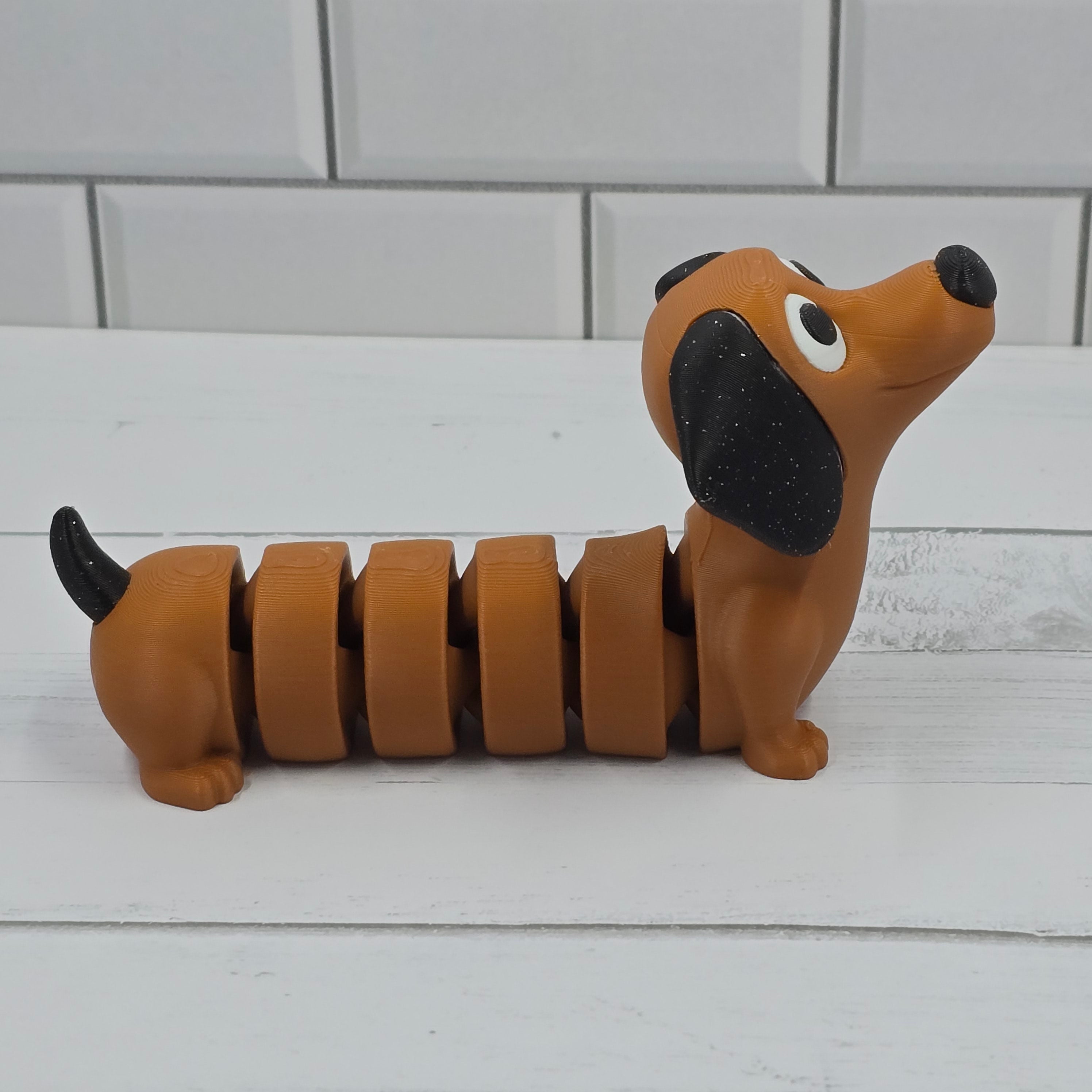 Dachshund