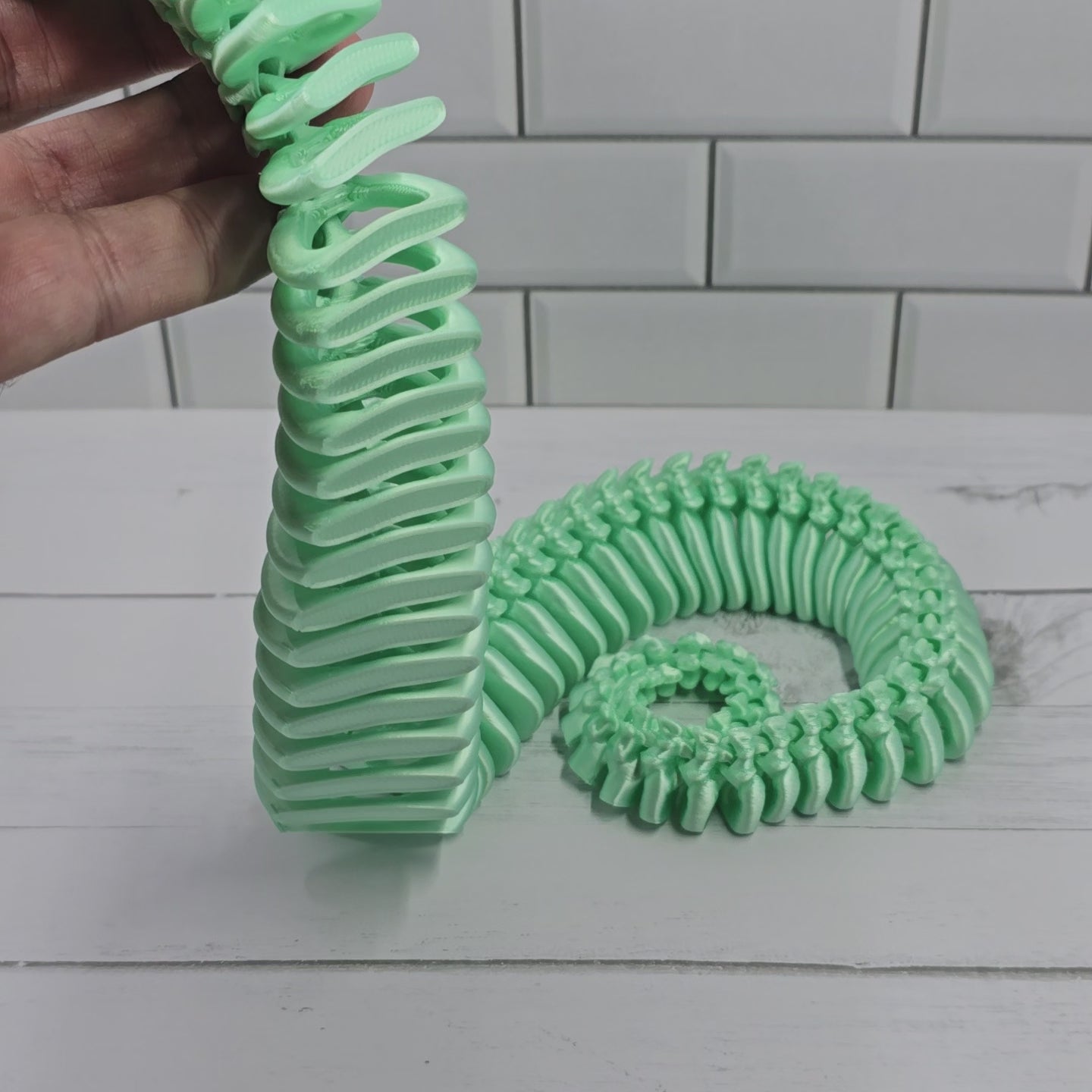 Skeleton Snake
