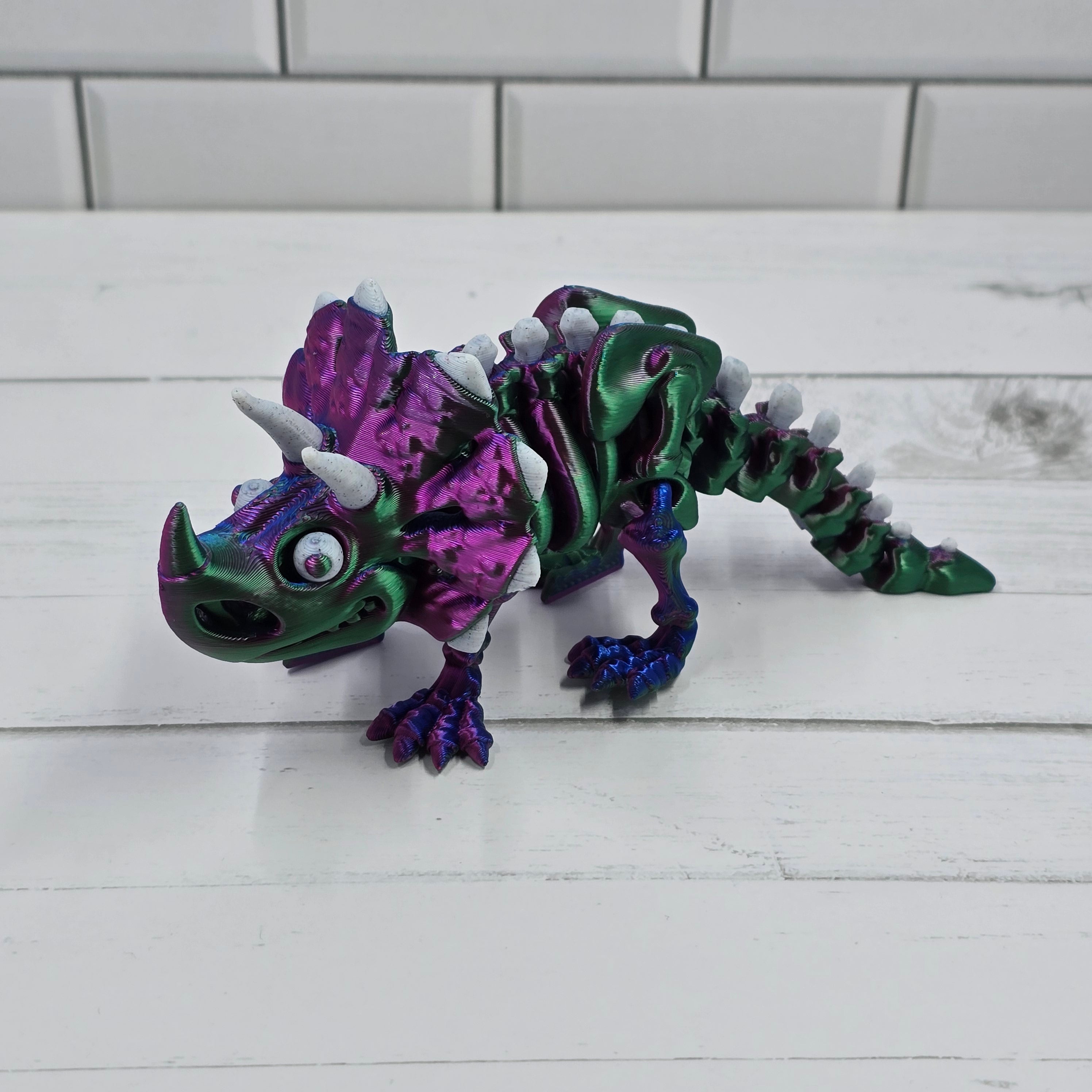 Skeleton Triceratops