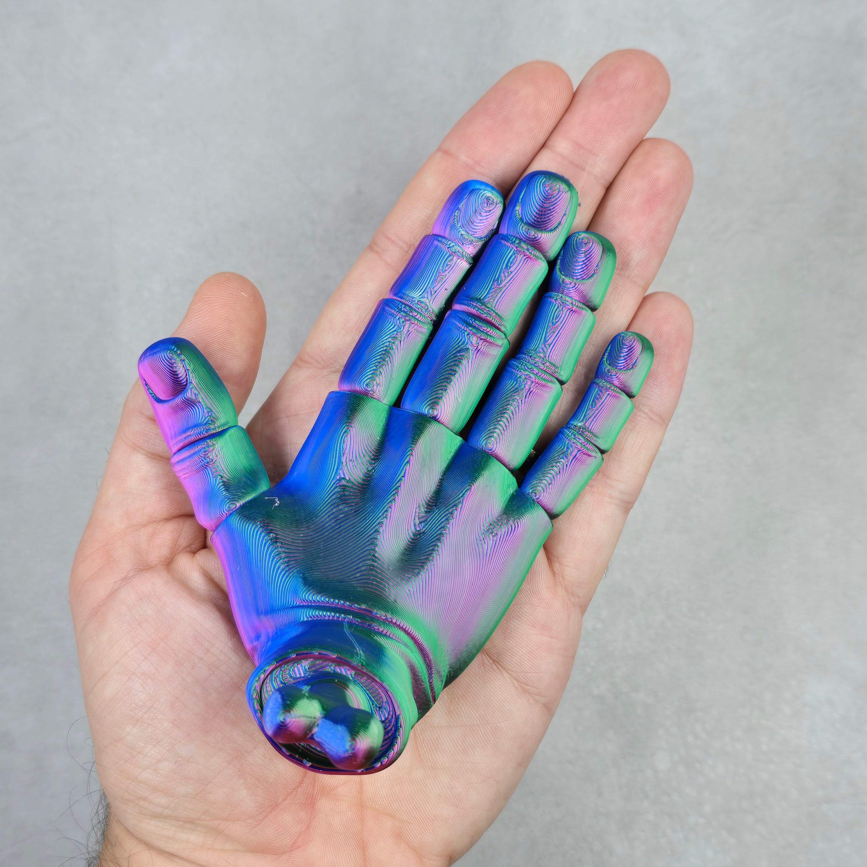 Fully Articulated Hand