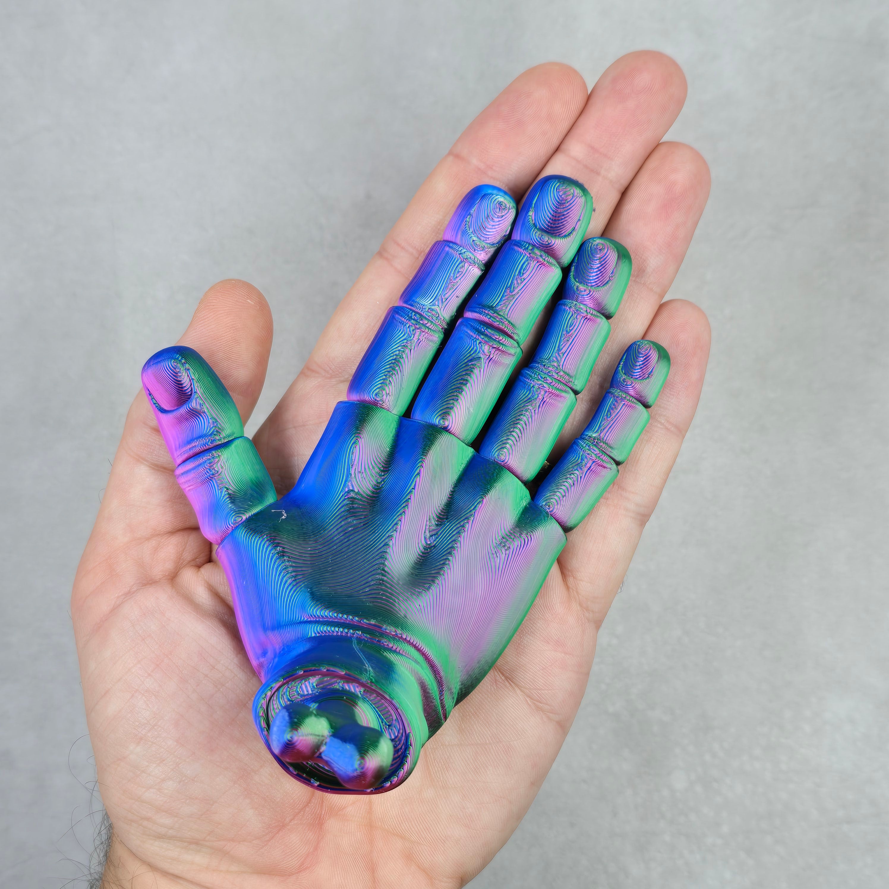 Fully Articulated Hand