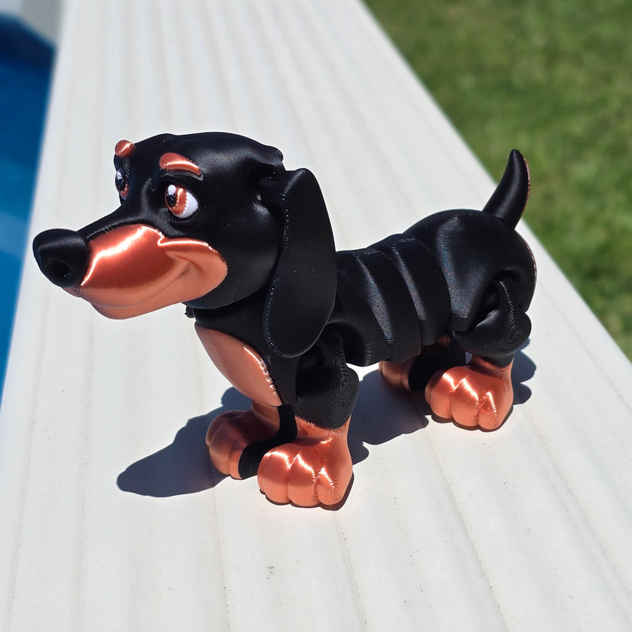 Dachshund