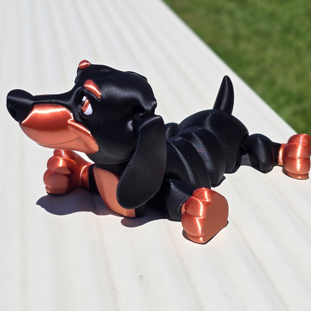 Dachshund