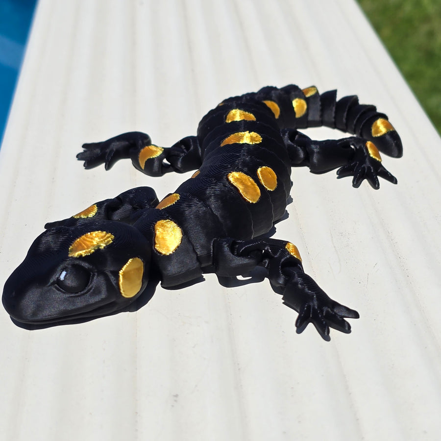 Fire Salamander