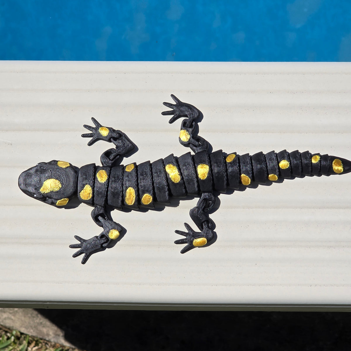 Fire Salamander