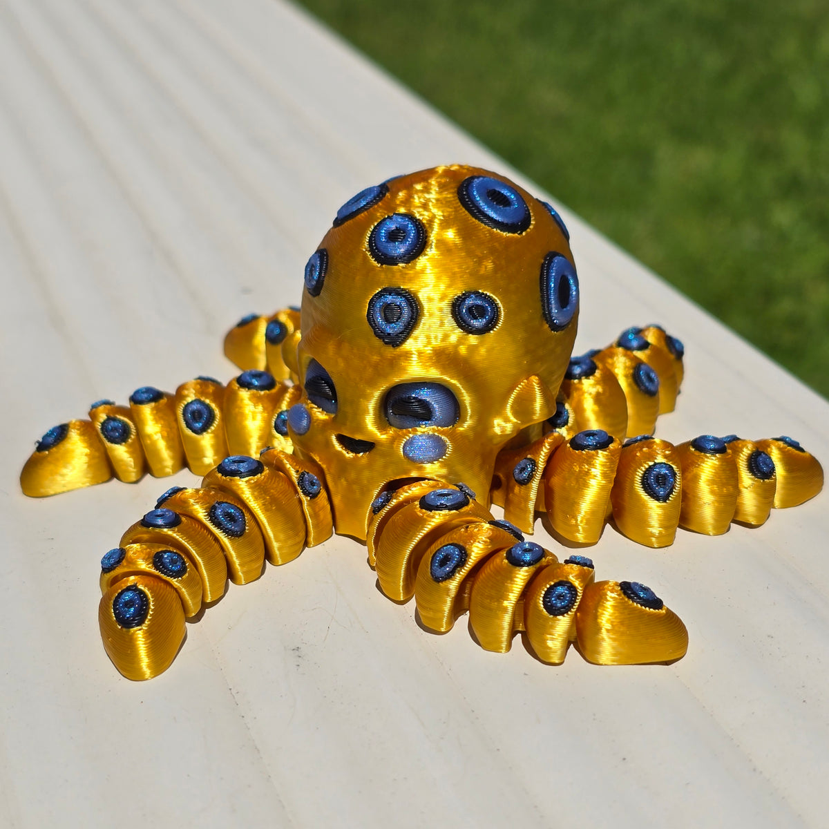 Blue-Ringed Octopus