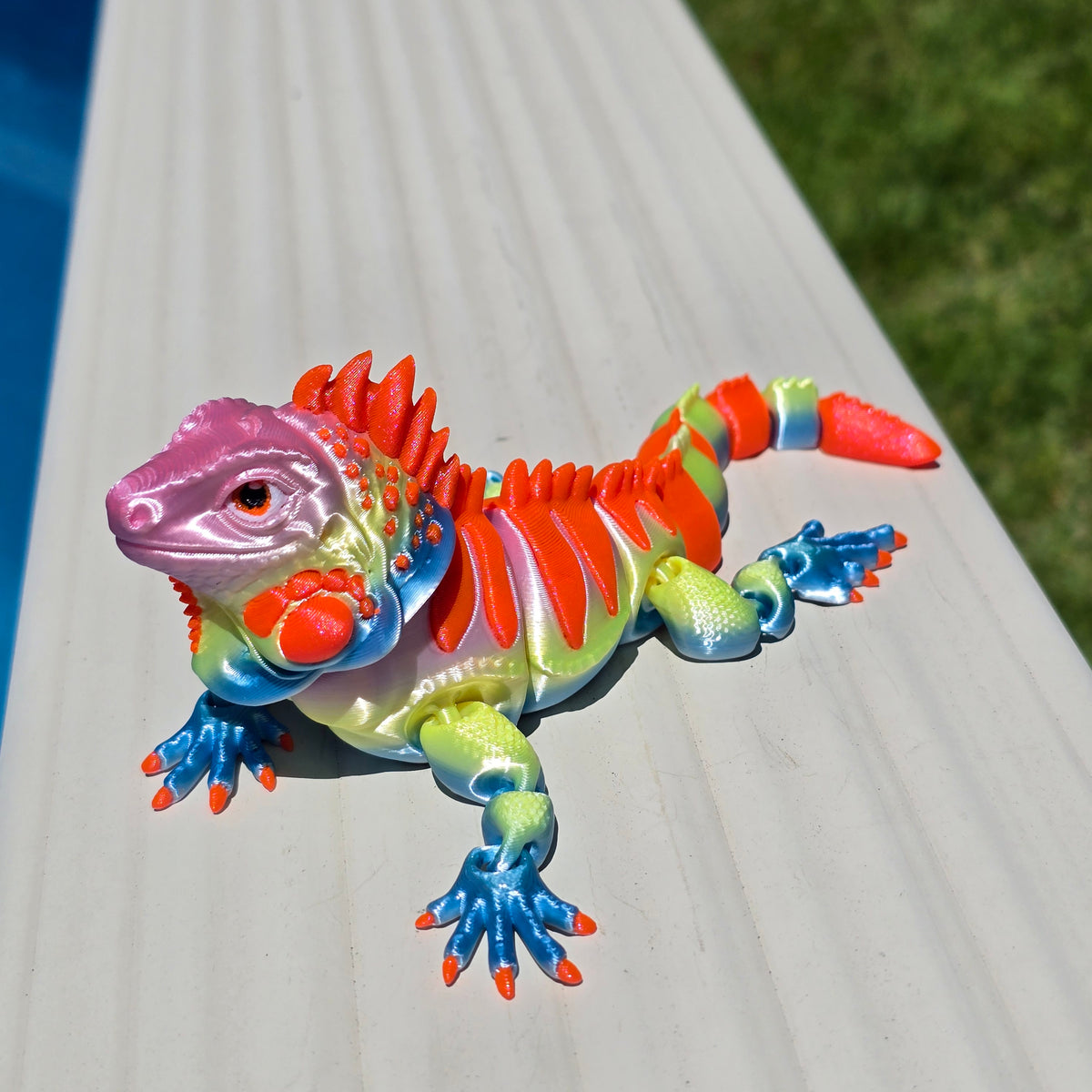 Iguana