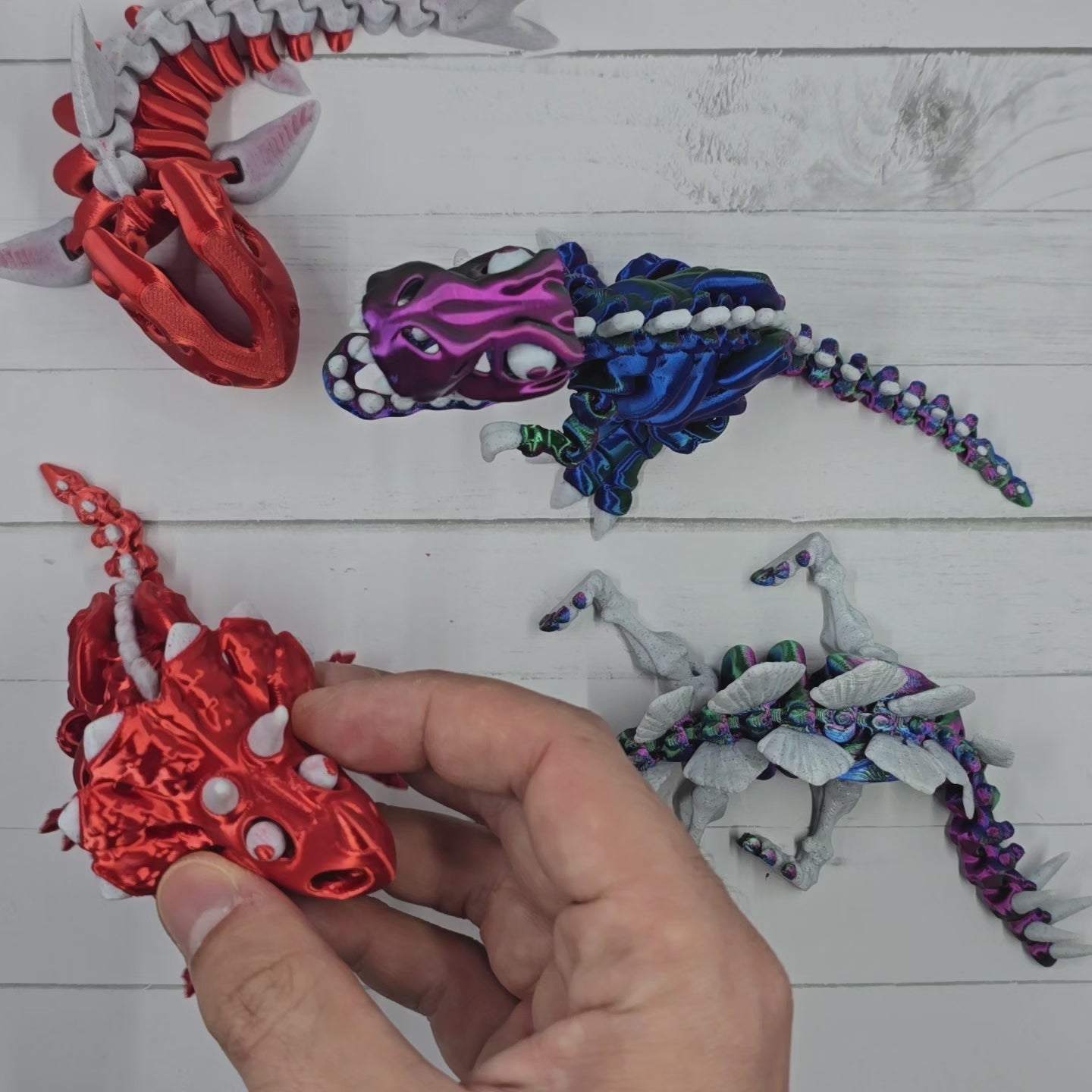 Skeleton Triceratops